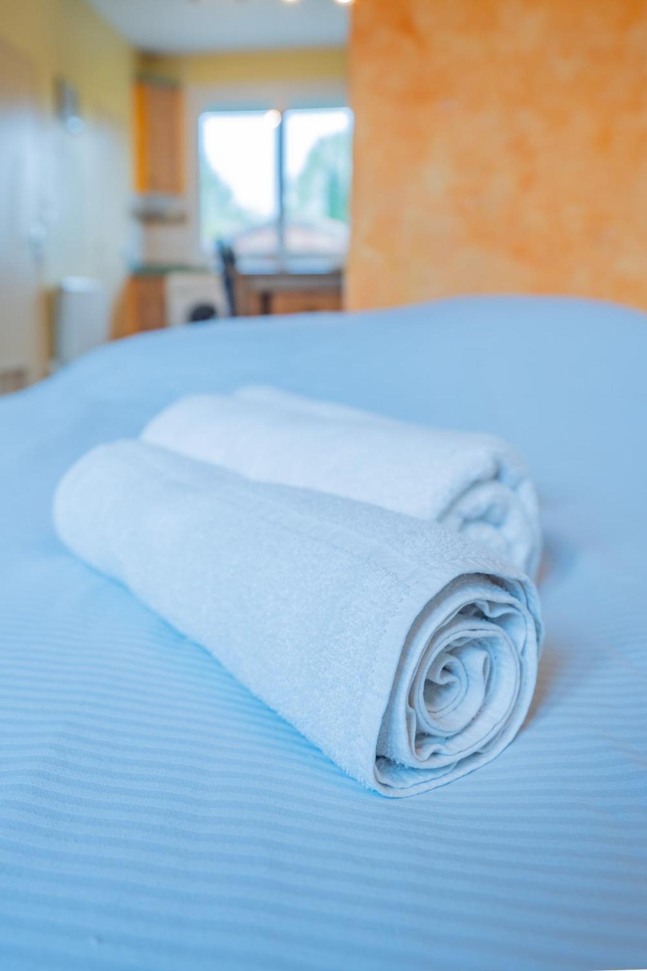 Room In Toulouse - Studio Proche Airbus Toulouse St Martin Touch المظهر الخارجي الصورة